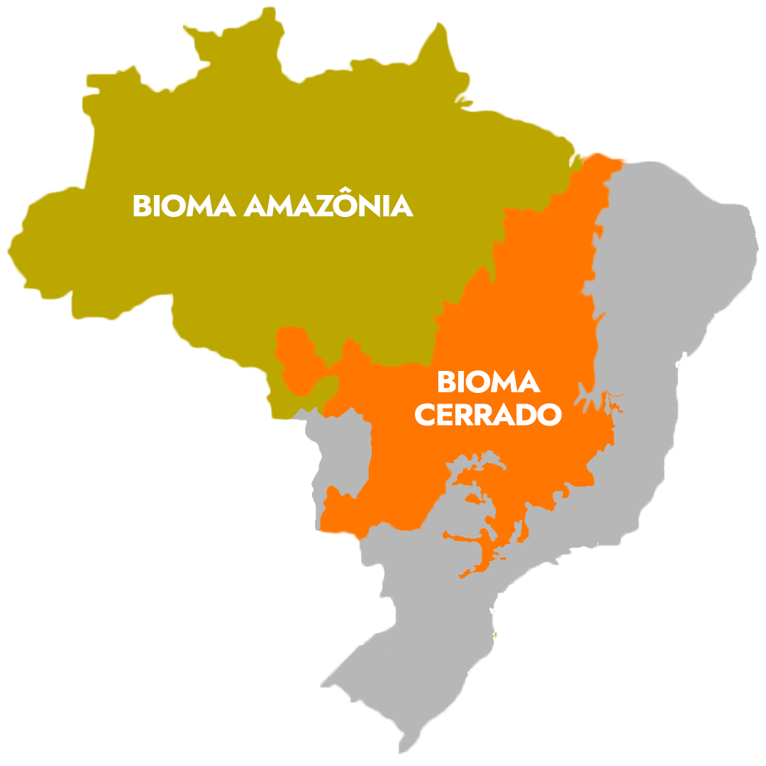 Biomas Brasileiros - EDIÇÃO v3