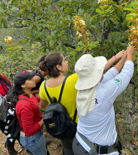 Florística (1) (1)