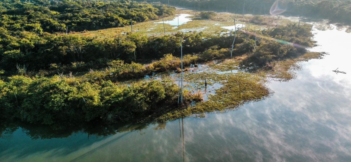 COPAÍBAS celebra o Dia Nacional das RPPNs com 21 novas áreas de conservação ambiental criadas