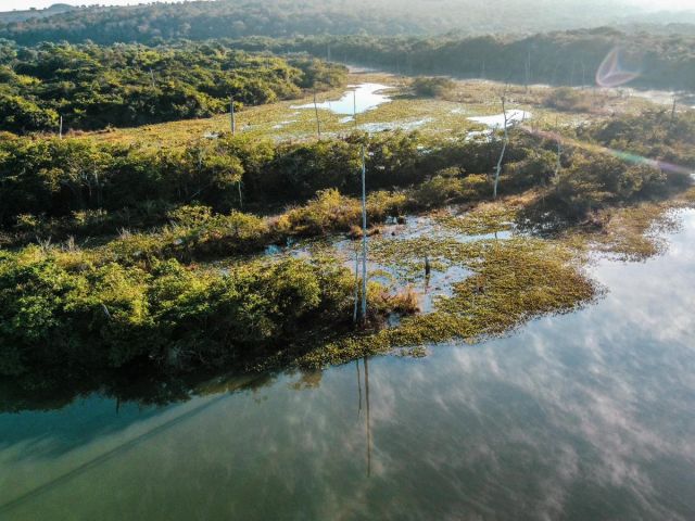 COPAÍBAS celebra o Dia Nacional das RPPNs com 21 novas áreas de conservação ambiental criadas