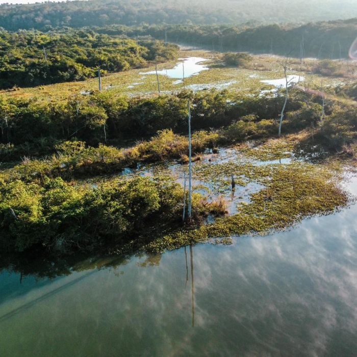 COPAÍBAS celebra o Dia Nacional das RPPNs com 21 novas áreas de conservação ambiental criadas