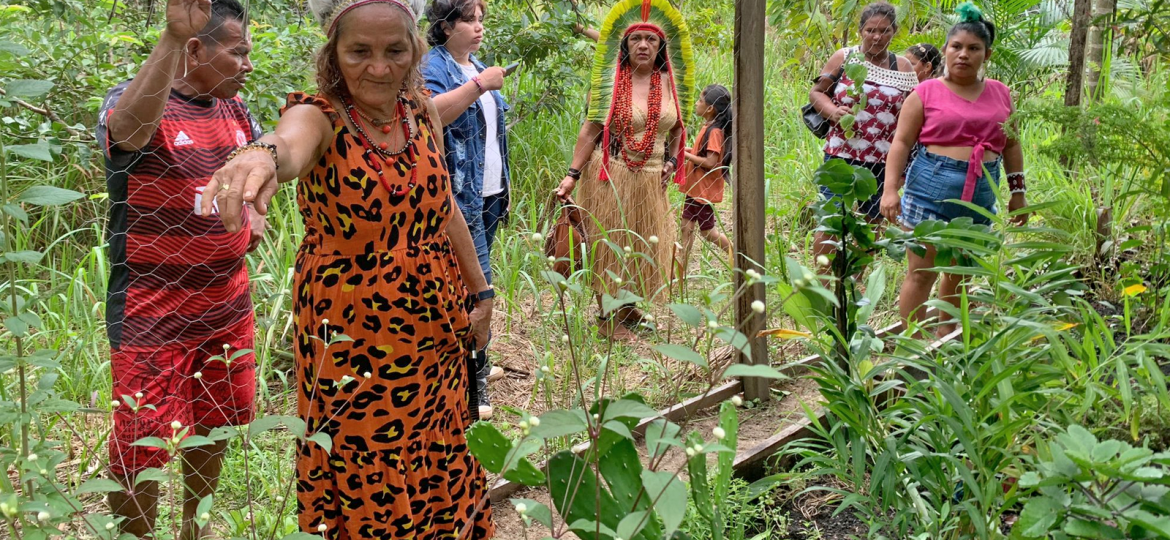 Cartilha de plantas medicinais reúne conhecimentos de mulheres de 6 aldeias da Terra Indígena Caititu, no Amazonas