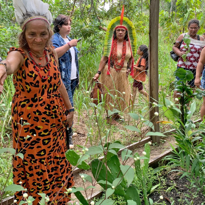 Cartilha de plantas medicinais reúne conhecimentos de mulheres de 6 aldeias da Terra Indígena Caititu, no Amazonas