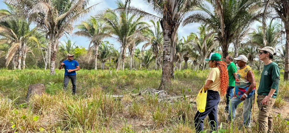 Consórcio Babaçu Livre fortalece trabalho de mulheres Quebradeiras de Coco no Maranhão e Tocantins