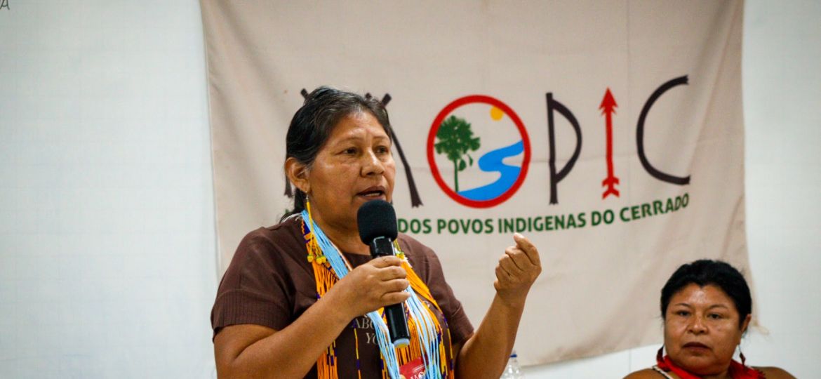Indígena MOPIC foto de Fernando Ralfer - Comunicador CTI142829.jpg (1)
