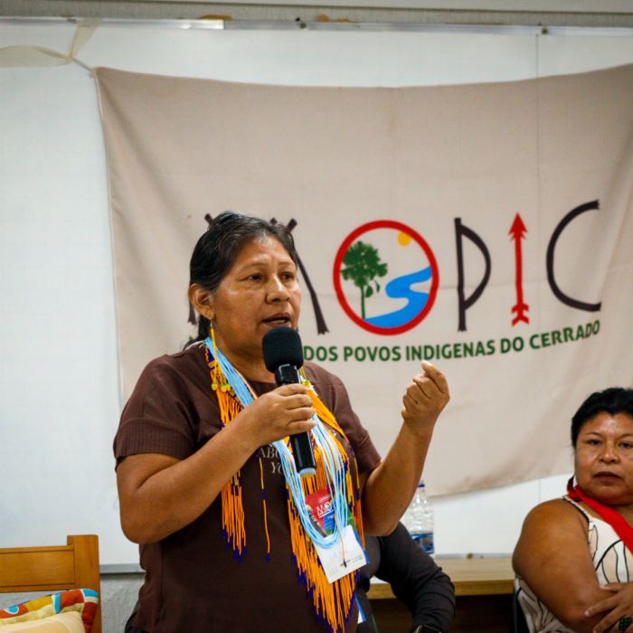 Indígena MOPIC foto de Fernando Ralfer - Comunicador CTI142829.jpg (1)